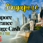 Singapore Assurance Package Cash: Up To $2,250 A Year