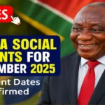 SASSA Social Grants: November 2025 Payment Dates, Amounts, and Essential Checks Before Payday
